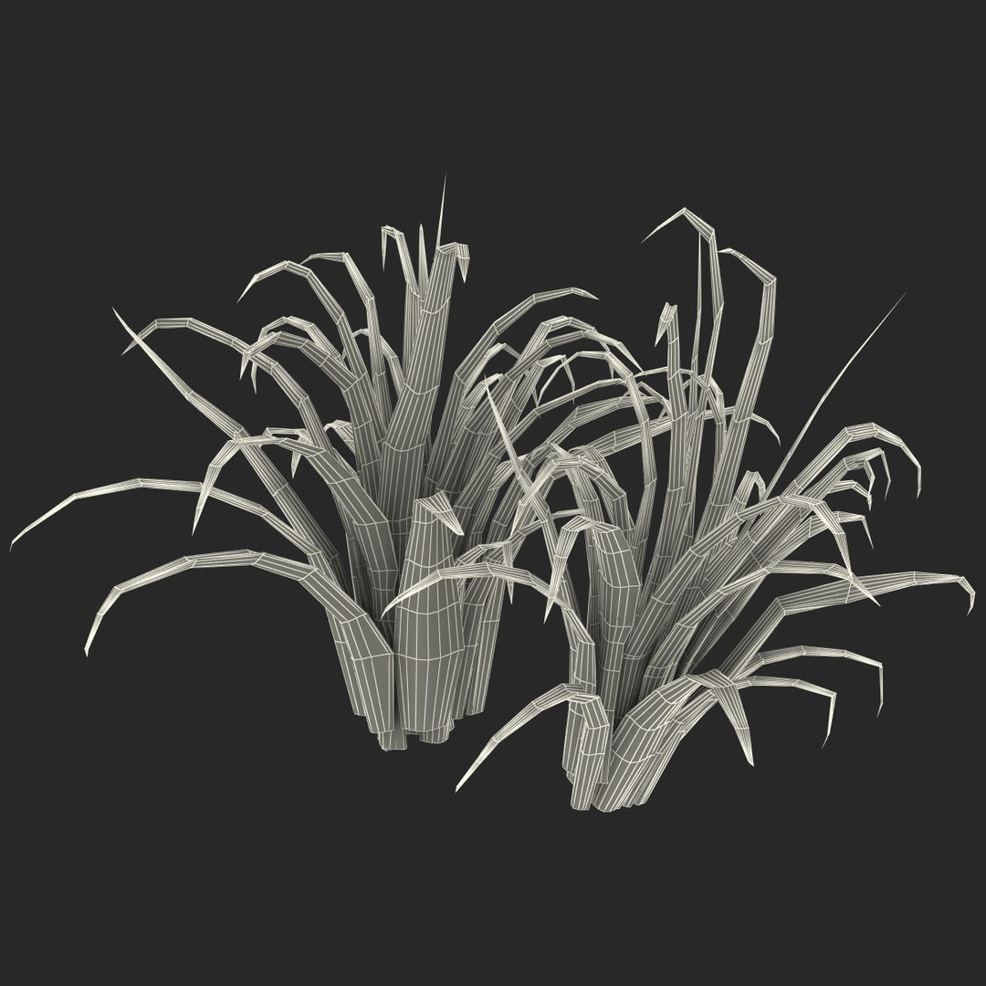 3d shrub dracaena https://p.turbosquid.com/ts-thumb/Su/1g5oQI/eogak1QA/shrubdracaena_24/jpg/1395770572/1920x1080/fit_q87/928145ed8cb8ace9b9b235694e2f9aa7bfe92d68/shrubdracaena_24.jpg
