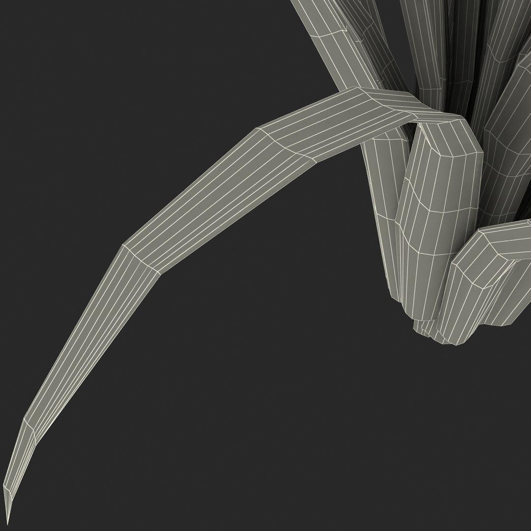 3d shrub dracaena https://p.turbosquid.com/ts-thumb/Su/1g5oQI/iNrbvi0g/shrubdracaena_36/jpg/1395770633/1920x1080/fit_q87/34f0de71c9d595ea8eef4d7826bcf02c3f60f2e8/shrubdracaena_36.jpg