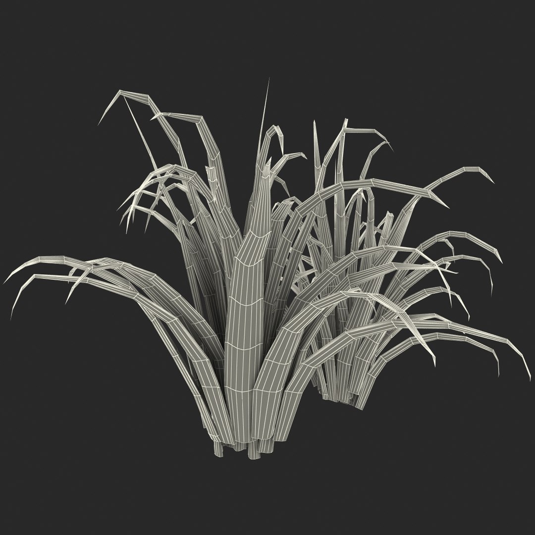 3d shrub dracaena https://p.turbosquid.com/ts-thumb/Su/1g5oQI/nn7YEQsh/shrubdracaena_26/jpg/1395770580/1920x1080/fit_q87/ecadd667f71a9f7a0138f91bd8a5fe6677fb589f/shrubdracaena_26.jpg
