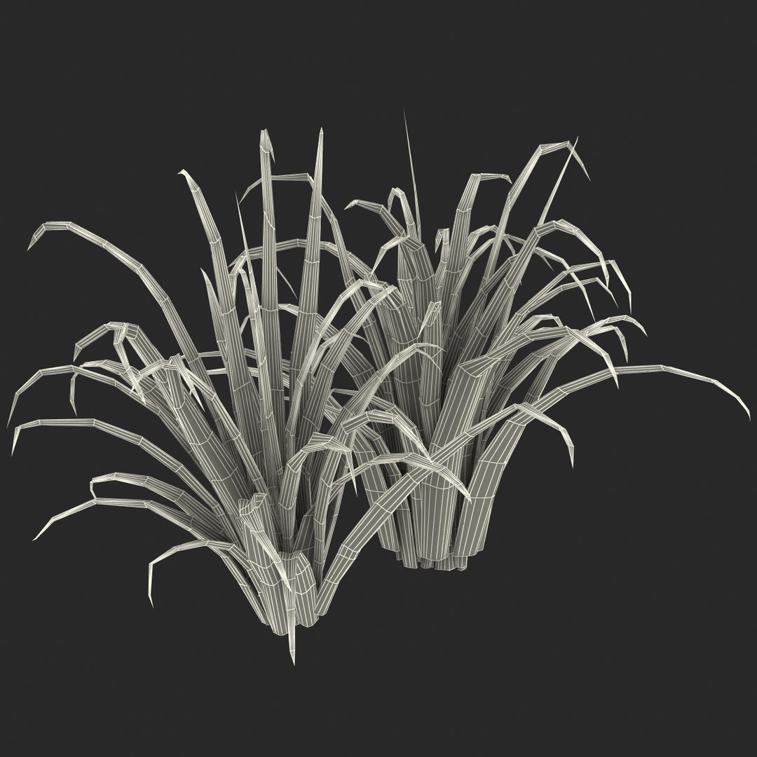 3d shrub dracaena https://p.turbosquid.com/ts-thumb/Su/1g5oQI/xcmYzMrx/shrubdracaena_30/jpg/1395770598/1920x1080/fit_q87/7e2f195f00daf28528bda1450a6406e068f8d138/shrubdracaena_30.jpg
