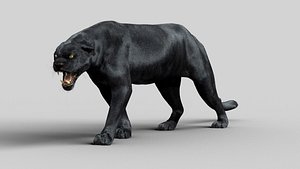 3D model black panther