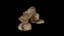 Realistic Sandstone Rock Pack model