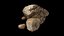 Realistic Sandstone Rock Pack model