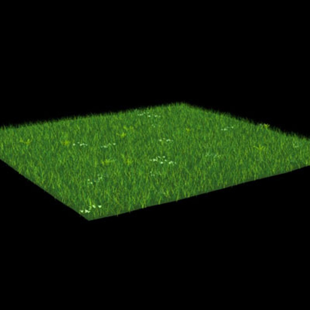 3d Model Grass Clover Ground