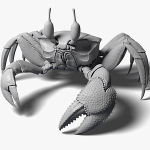 3d ghost crab model