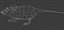 mouse_fur_2012