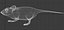 mouse_fur_2012