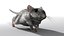 mouse_fur_2012