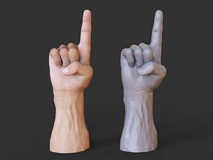 Male Hand Pose 16 model