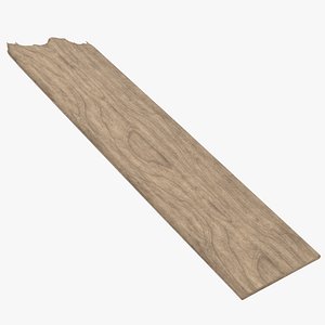 Wood Debris Piece 05