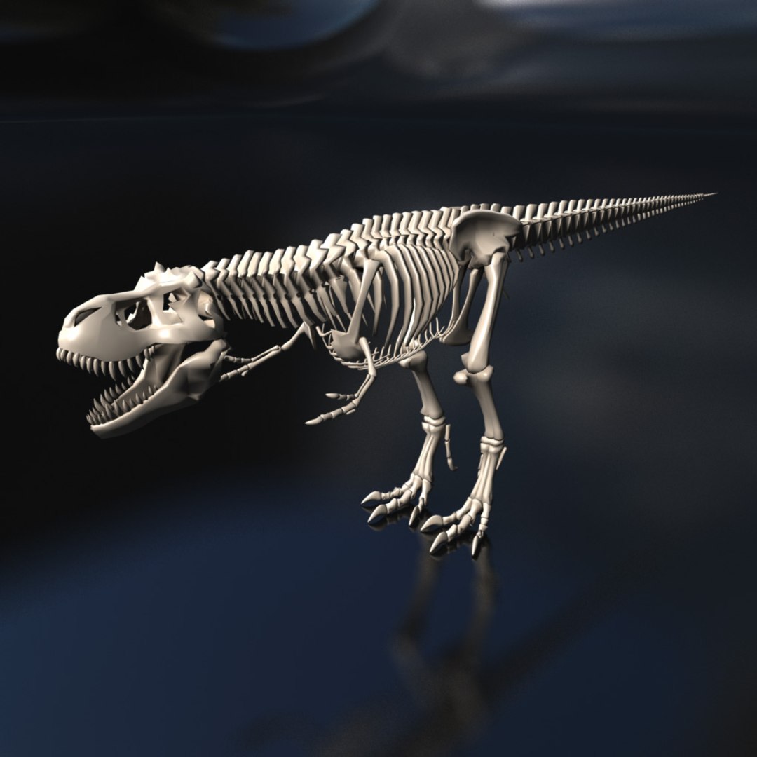 animation 3D model https://p.turbosquid.com/ts-thumb/Su/ebdV7W/5EBOkmip/frame1/jpg/1566671735/1920x1080/fit_q87/a1c064fd214cc3425d727386bba69a06bd3fd039/frame1.jpg
