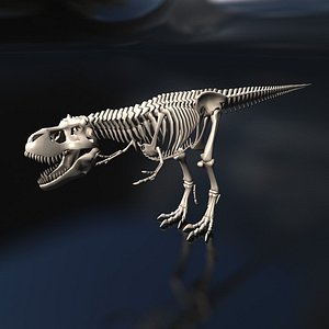 Free Dinosaur Skeleton 3D Models for Download | TurboSquid