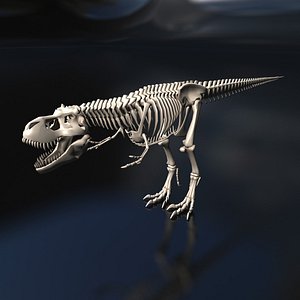 Dragon Bone