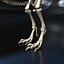 animation 3D model