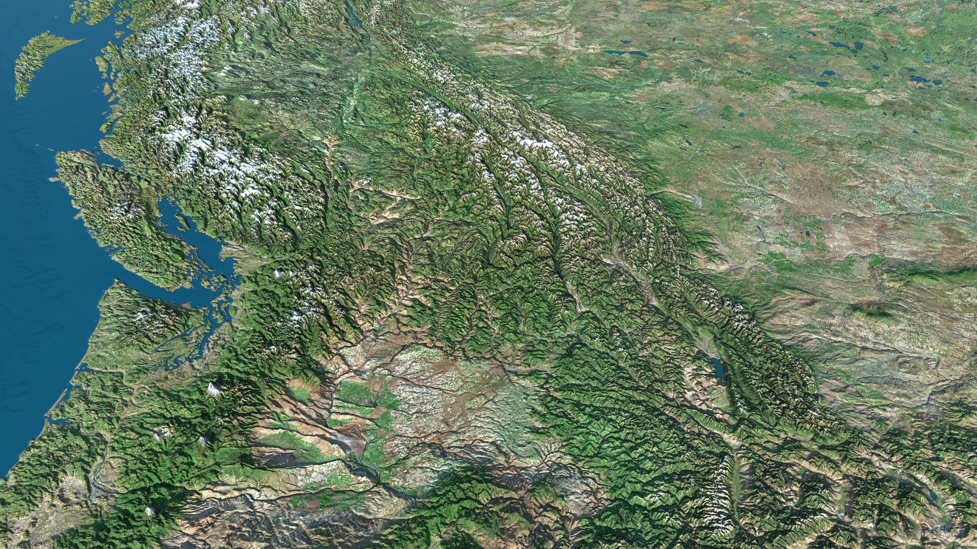 USA highly detailed landsape relief map model https://p.turbosquid.com/ts-thumb/Su/vzwLsA/JJ/5/jpg/1767038055/1920x1080/fit_q87/894d847878ffdeb09ec73a0310cff868da27fb17/5.jpg