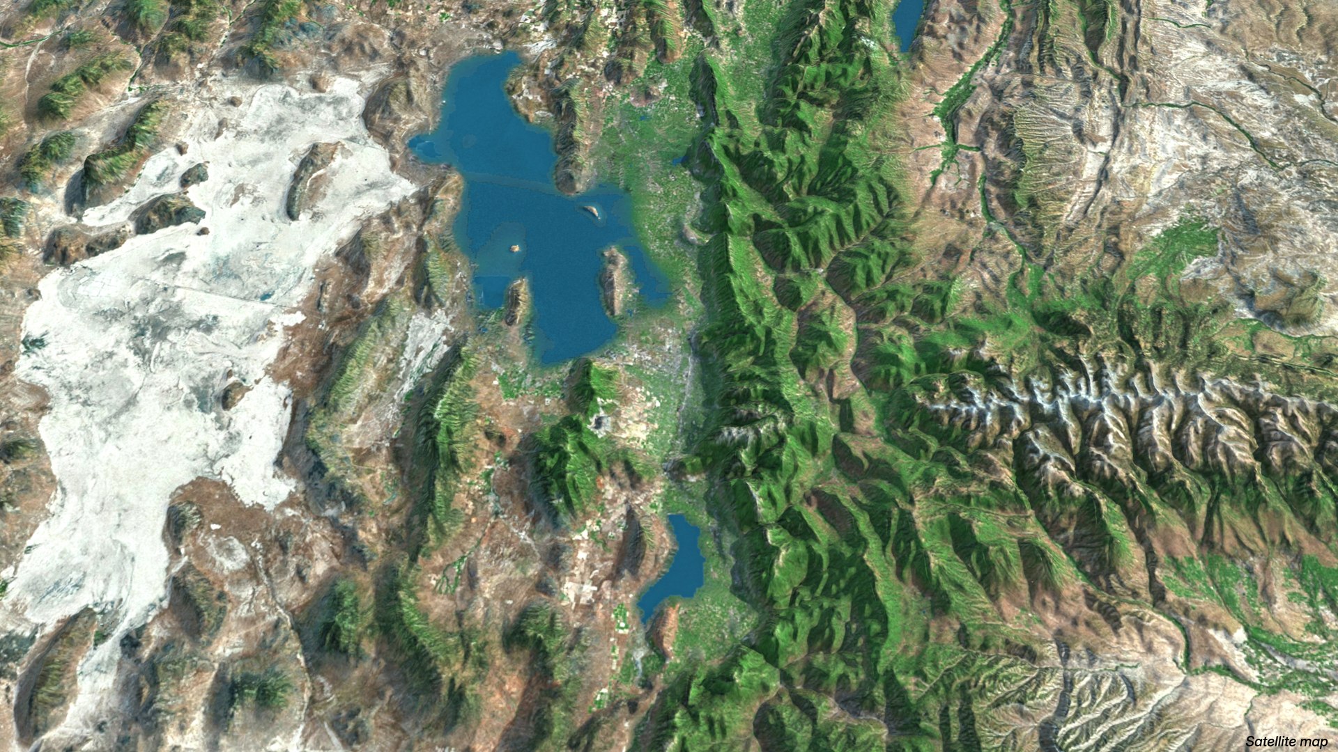 USA highly detailed landsape relief map model https://p.turbosquid.com/ts-thumb/Su/vzwLsA/Tr/14/jpg/1767039582/1920x1080/fit_q87/08a7302e3ba7759e4ad1aa089122178f3eb27d94/14.jpg