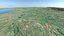 USA highly detailed landscape relief map