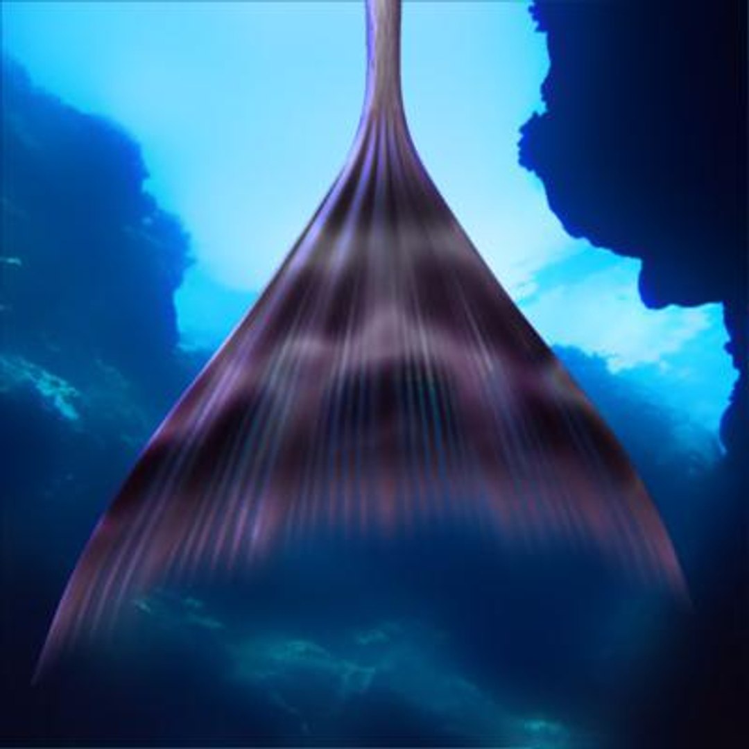 3d max 4 mermaids expressions case https://p.turbosquid.com/ts-thumb/Su/wf2dhr/rY6du2TB/mermaid04_10/jpg/1247844246/1920x1080/fit_q87/56296bc97be4d8e7112ad1bdd3317b09b5386fa8/mermaid04_10.jpg