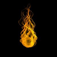 meshfire.max