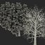 3d model red oak tree set