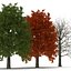 3d model red oak tree set