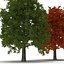 3d model red oak tree set