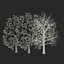 3d model red oak tree set