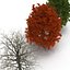 3d model red oak tree set