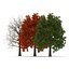 3d model red oak tree set