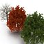 3d model red oak tree set