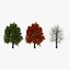 3d model red oak tree set