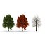 3d model red oak tree set