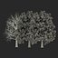 3d model red oak tree set