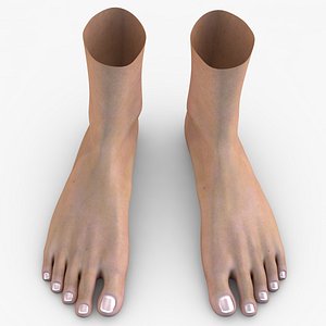 human feet 3D model