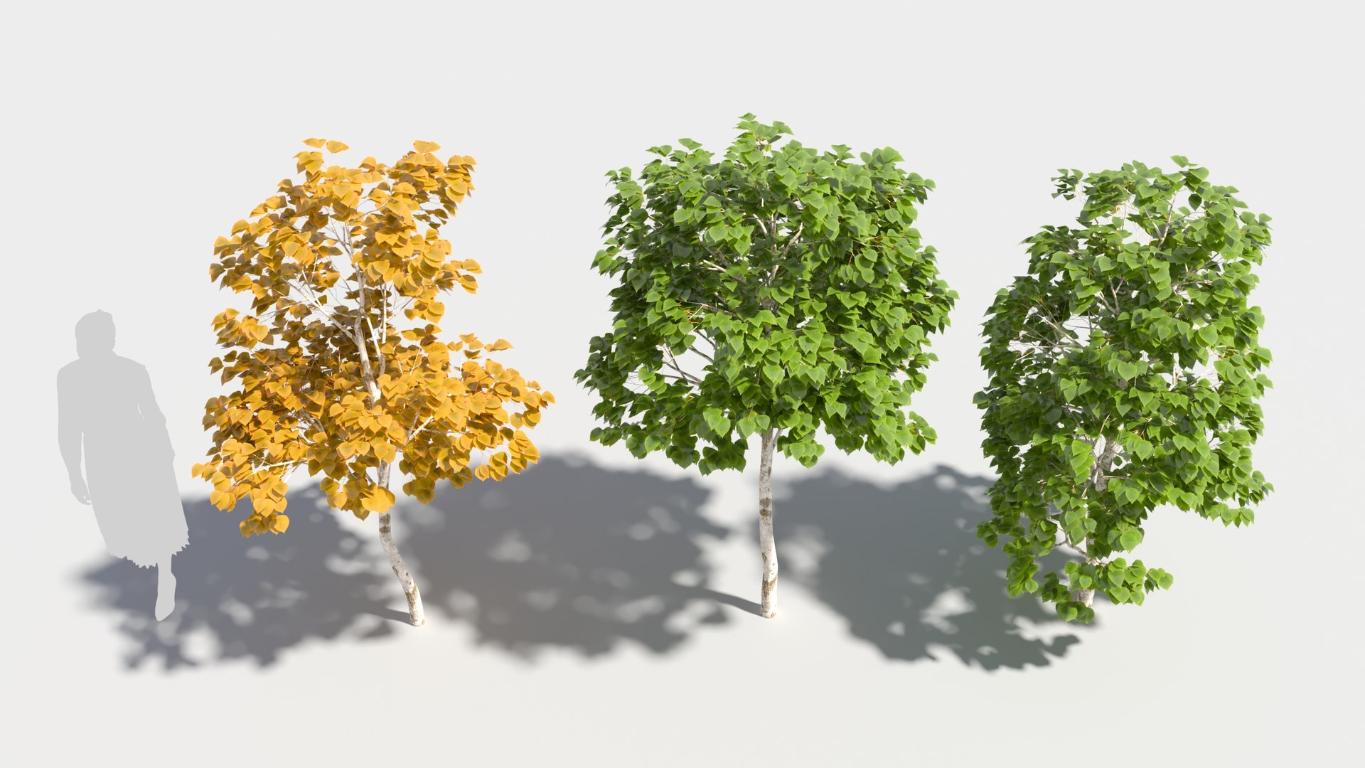 3D model betula platyphylla https://p.turbosquid.com/ts-thumb/Sv/RsWe6E/Ek/betulaplatyphylla33/jpg/1681715949/1920x1080/fit_q87/3bad071d5018ca931a320ad05ca80f847bc0f2d0/betulaplatyphylla33.jpg