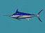Blue marlin