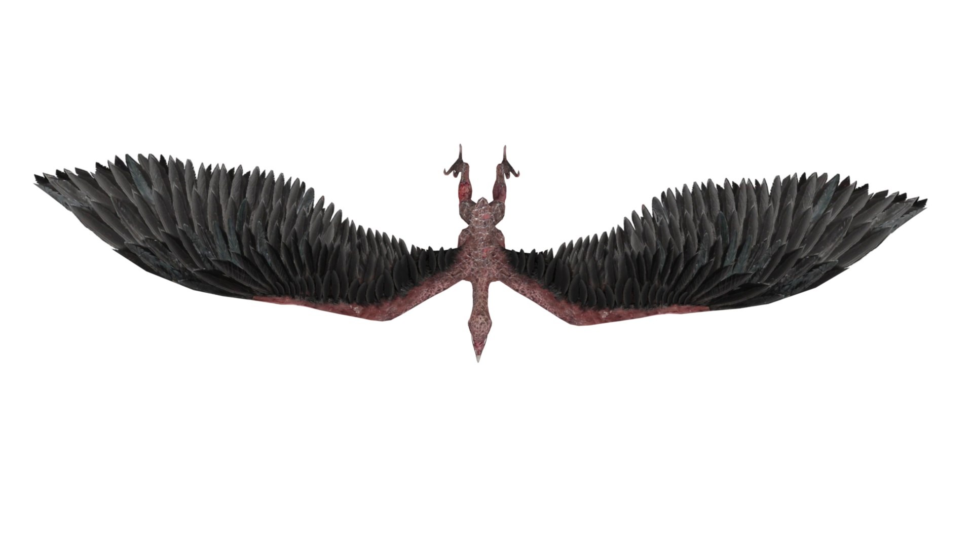 3D model Pteranodon https://p.turbosquid.com/ts-thumb/Sv/gdBNfw/58/dfs0012/jpg/1654581713/1920x1080/fit_q87/a05a11efab74497295ad9372e1ace9f3c1c82e95/dfs0012.jpg