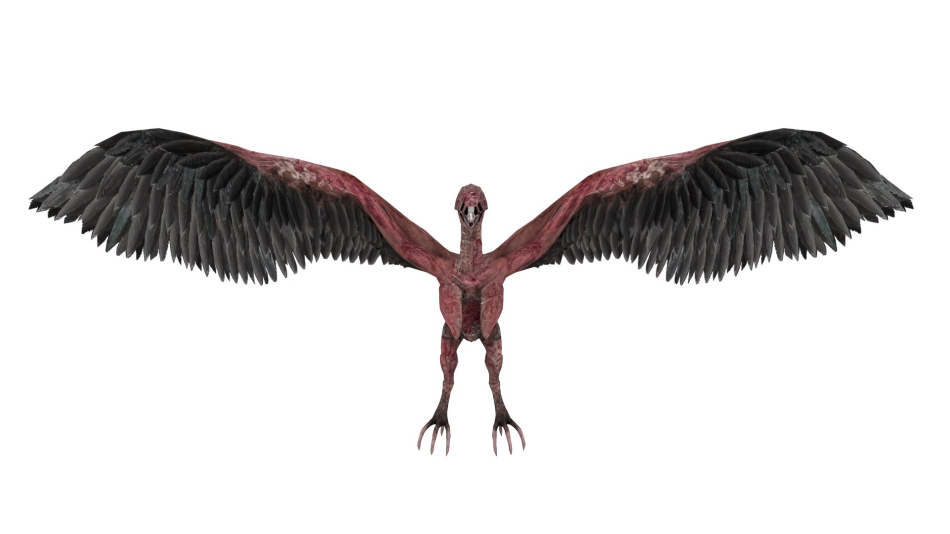 3D model Pteranodon https://p.turbosquid.com/ts-thumb/Sv/gdBNfw/5F/dfs/jpg/1654581709/1920x1080/fit_q87/a8ef35ce565b7528276760db79eee2b4bd7a47d0/dfs.jpg