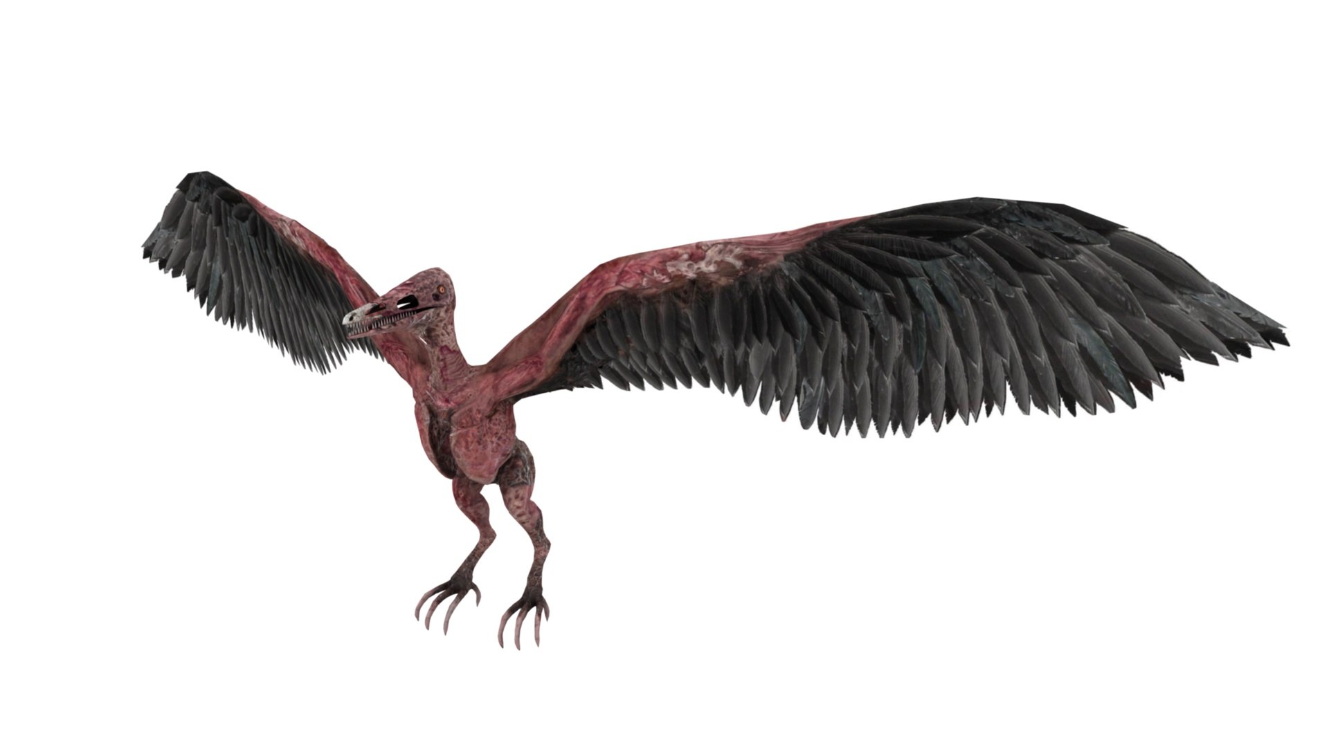 3D model Pteranodon https://p.turbosquid.com/ts-thumb/Sv/gdBNfw/6x/dfs0001/jpg/1654581711/1920x1080/fit_q87/3e9fd57ceea21bd2613f9496b4eafb9abbfb0ee5/dfs0001.jpg