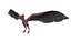 3D model Pteranodon