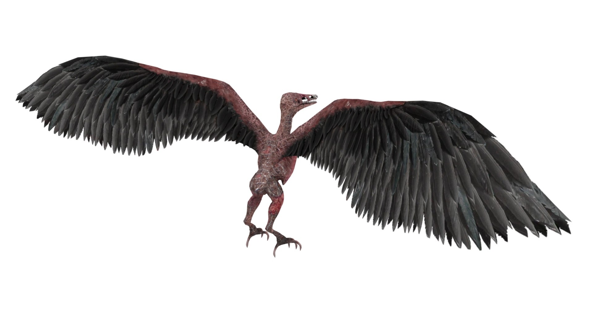 3D model Pteranodon https://p.turbosquid.com/ts-thumb/Sv/gdBNfw/8z/dfs0007/jpg/1654581712/1920x1080/fit_q87/17ac28848e7a714440b83ac263ea0ac66df0dc76/dfs0007.jpg