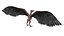 3D model Pteranodon