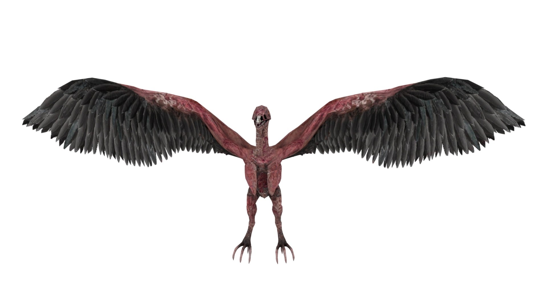 3D model Pteranodon https://p.turbosquid.com/ts-thumb/Sv/gdBNfw/93/dfs0011/jpg/1654581713/1920x1080/fit_q87/fb5efb1dae9a23c0c340a2708dc9683e3927c850/dfs0011.jpg