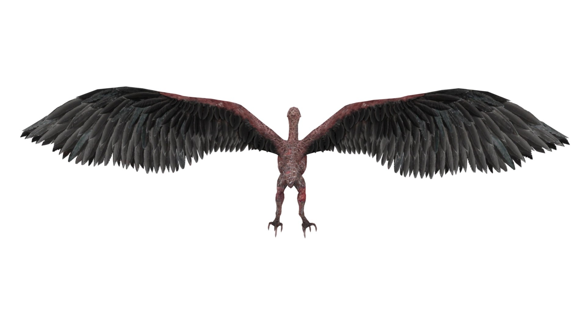 3D model Pteranodon https://p.turbosquid.com/ts-thumb/Sv/gdBNfw/AU/dfs0006/jpg/1654581713/1920x1080/fit_q87/c70cd81d99c122de5689dd120c7b33f1a76b3ac5/dfs0006.jpg