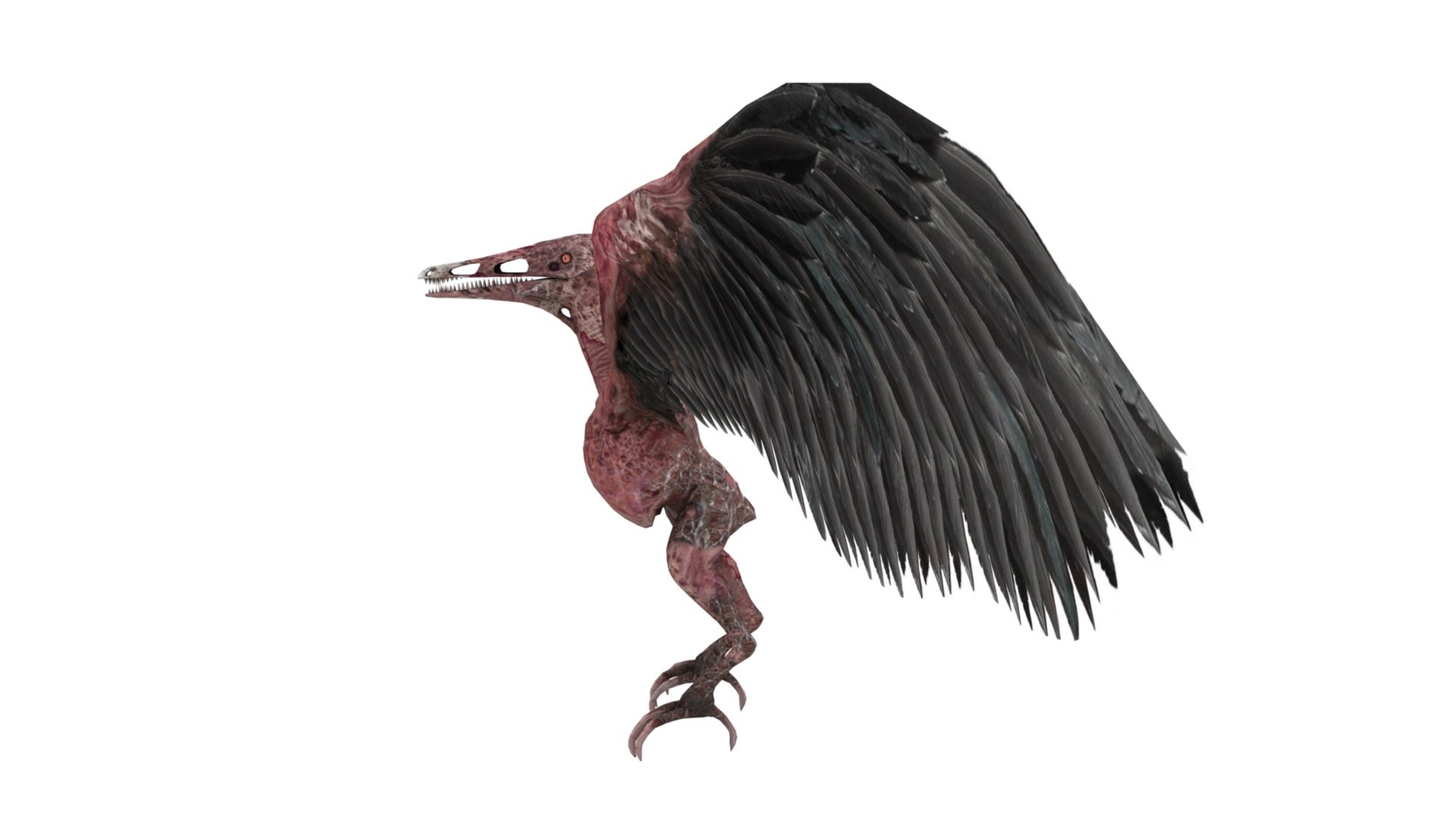 3D model Pteranodon https://p.turbosquid.com/ts-thumb/Sv/gdBNfw/NO/dfs0003/jpg/1654581711/1920x1080/fit_q87/18906f49ade67455fe15f2b25e10a60e2c7fb36e/dfs0003.jpg