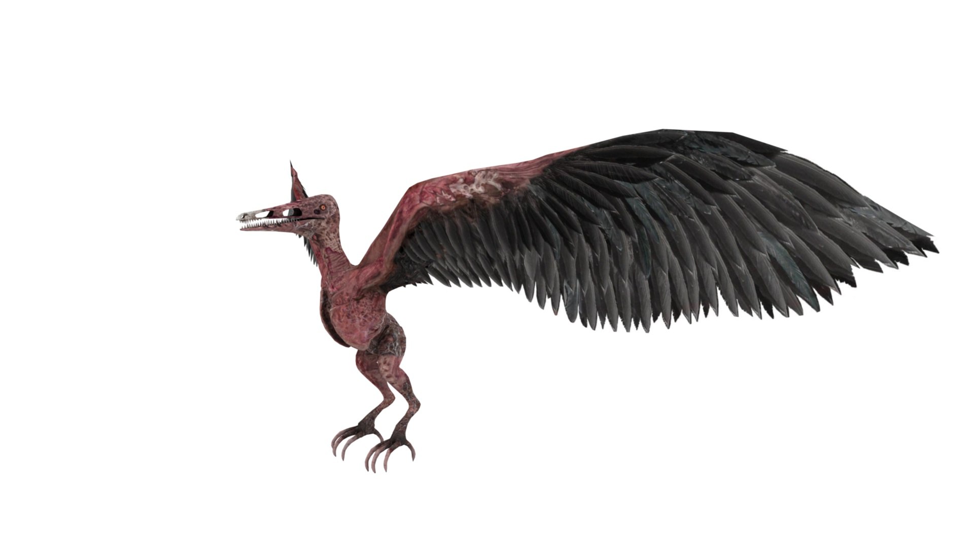 3D model Pteranodon https://p.turbosquid.com/ts-thumb/Sv/gdBNfw/aD/dfs0002/jpg/1654581711/1920x1080/fit_q87/d9c161ed9c83aaf03142dbb361b0d7a7b6f0f48b/dfs0002.jpg