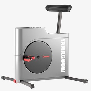 Yamagcuhi Crossway 3D model