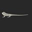 3d model green iguana pose 2