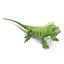 3d model green iguana pose 2