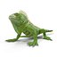 3d model green iguana pose 2